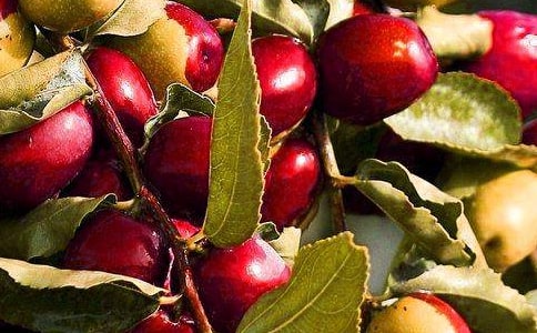 ˮ���չ���ͬ(����14ƪ)