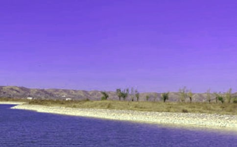 水库承包合同(优)