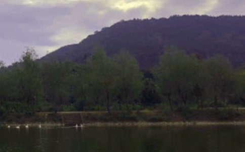 水库工程承包合同