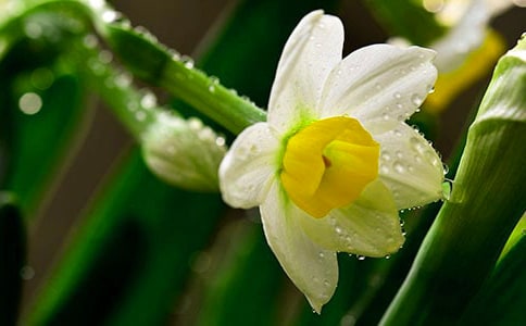 ����ˮ��������