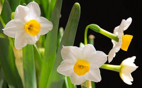 ������ˮ��������