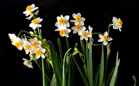 ˮ��������