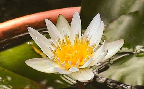 ��������ѧ�̰���˯������������˼