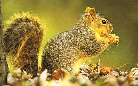 �����ѧ���