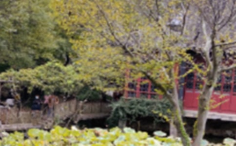 关于《苏州园林》的优秀教案9篇