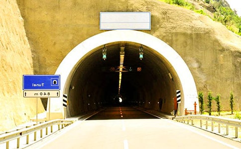 ��ʱ����������һͷ�������