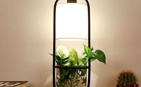 舞台灯光师中班教案