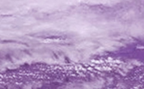 ̨������ο����