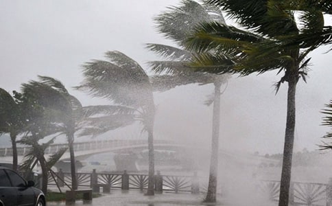 《跟踪台风的卫星》教案