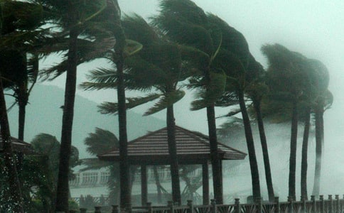 Ԥ��̨�繤���ܽ�