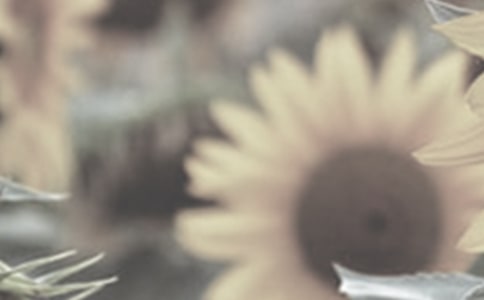 �������̫����Ů���������