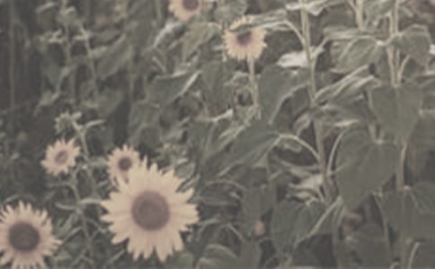 ����һƬ̫��������ѧ���