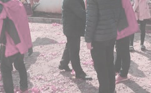 ̽�����������15ƪ