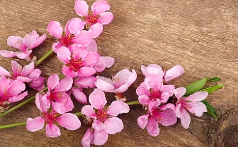 �����һ�Դ�ۺ��