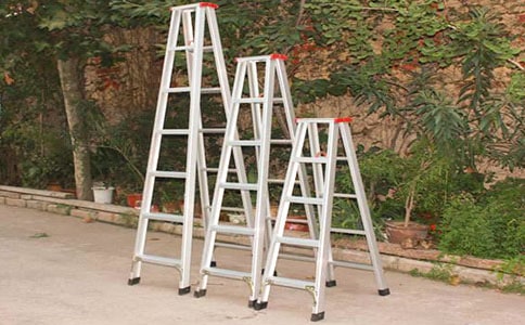 《花样玩梯子》大班教案