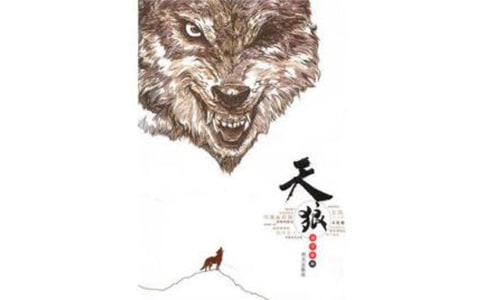 ���Ƕ����15ƪ