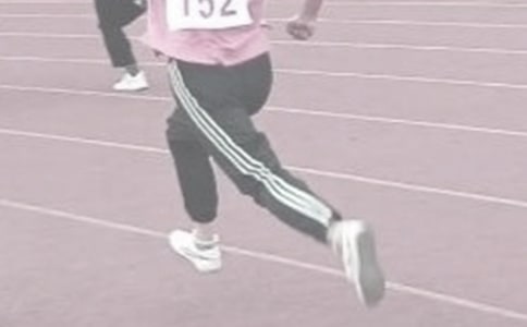 �ﾶ��ѵ�������ܽ�