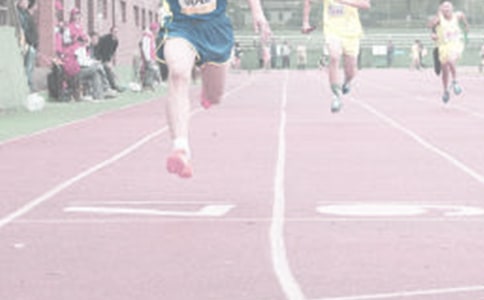 �ﾶѵ�������ܽ�