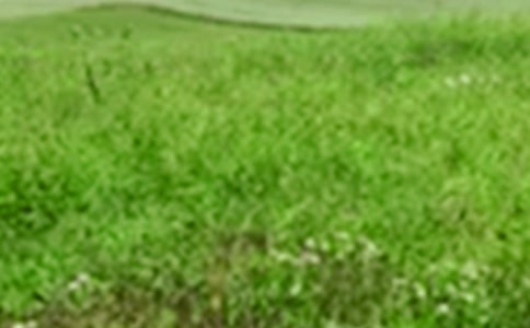 《我们的田野》教学设计