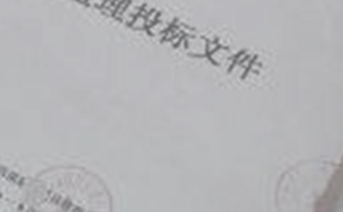 建设工程投标合同