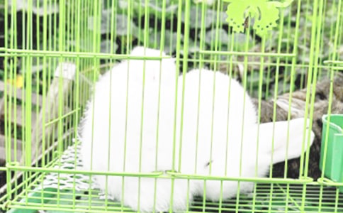 �������¡������