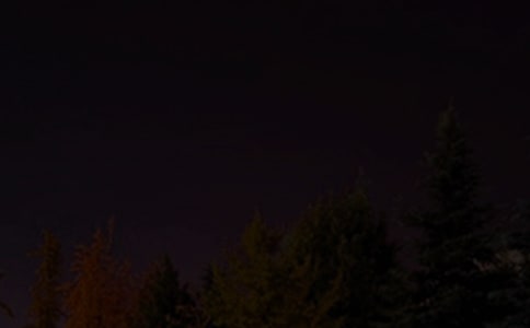 2025�꾭����������������Ȧ�ʺ���53��