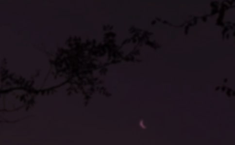 ������ܰ������QQ�ʺ������53��