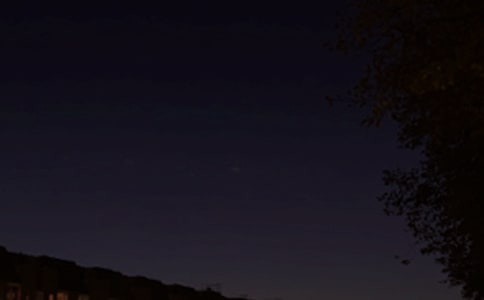 ��ѡΨ��������΢���ʺ���31��