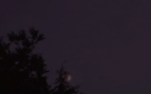 2024�꾫ѡ����������΢���ʺ�����92��