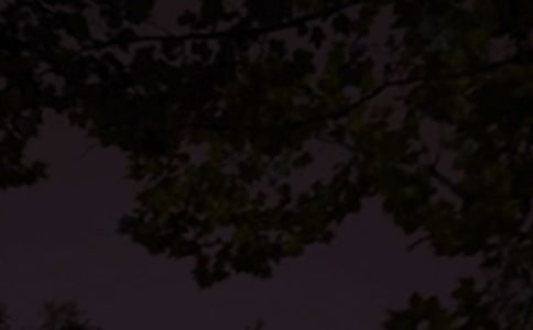 ��ѡ��ܰ�������ʺ�����¼�ϼ�47��