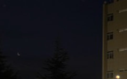 2023������΢���ʺ���44��