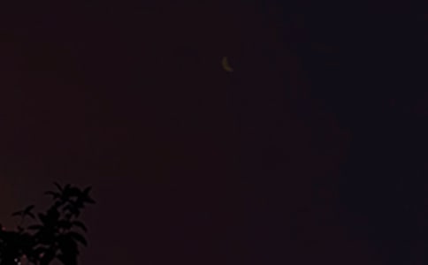 2025���й�Ψ���������ʺ�����¼�����76��