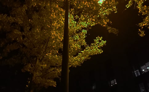 2025���й���ܰ������QQ�ʺ���83��