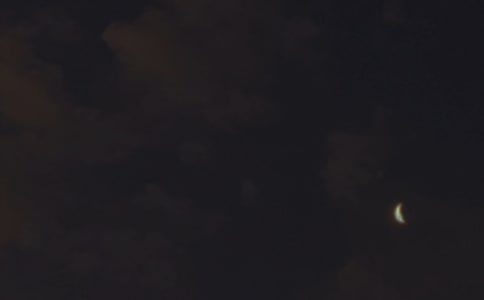 �����š�Ψ���������ʺ�����Ż��58��