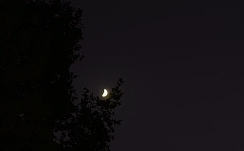 2025�꾫ѡ����΢���ʺ������58��