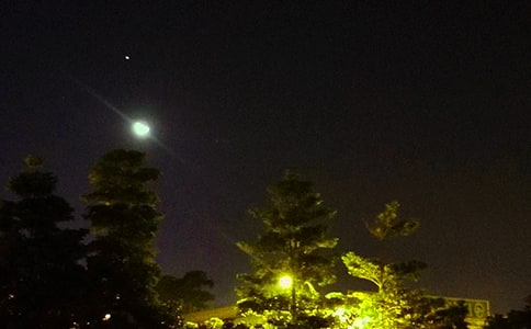 ʵ�õ������������ʺ������31��