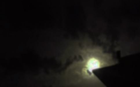 ���������ʺ����ȫ����ѡ115�䣩