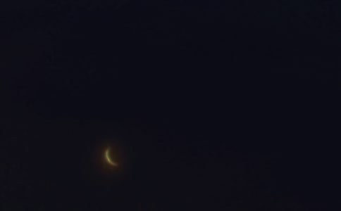 2024�꾭������ϵ�����ʺ�����ż���40��