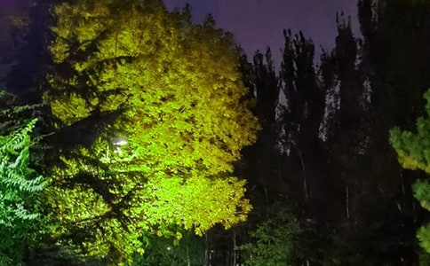 Ψ��������΢���ʺ���34��