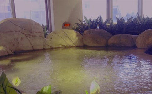 ��Ȫ��߻��鷶��