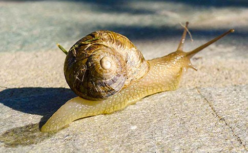 ��������ţ���ۺ�� 