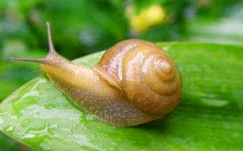 ��������ţ���ۺ��