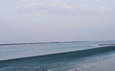 我们看海去读后感(通用5篇)