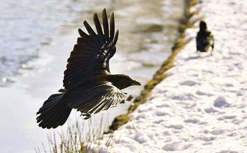 ���Ƽ�������ѻ���ھӶ����15ƪ