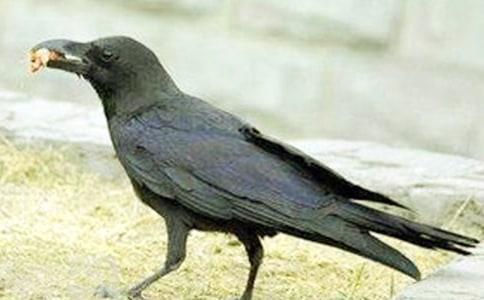 ��ѻ��ˮ��ѧ���