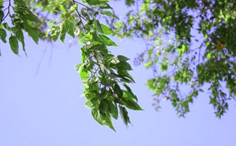 2024������ϵ�簲QQ�ʺ��Ｏ��75��