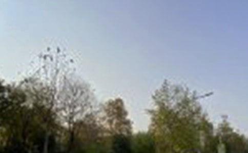 ���õ��簲QQ�ʺ���45��