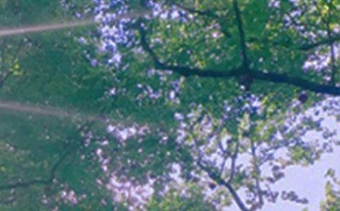 2023年治愈系午安问候语集合48条