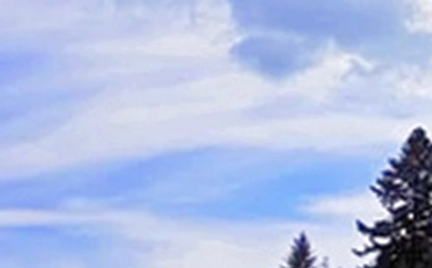 2023��Ψ�����簲QQ�ʺ���44��