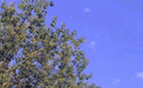 ���������簲�ʺ���40�侫ѡ